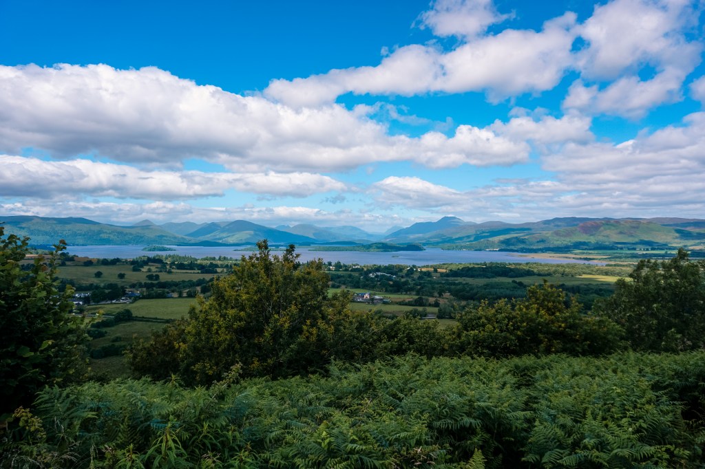 A view of Loch Lomond from up a hill, in the foreground there are green plants and bushes and in the distance we can see mountains