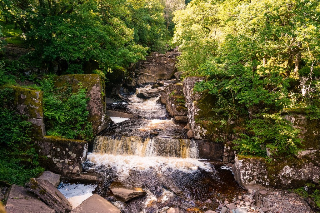 A waterfall going down several small layers (or steps) created by the rocks, large rocks and trees frame the water