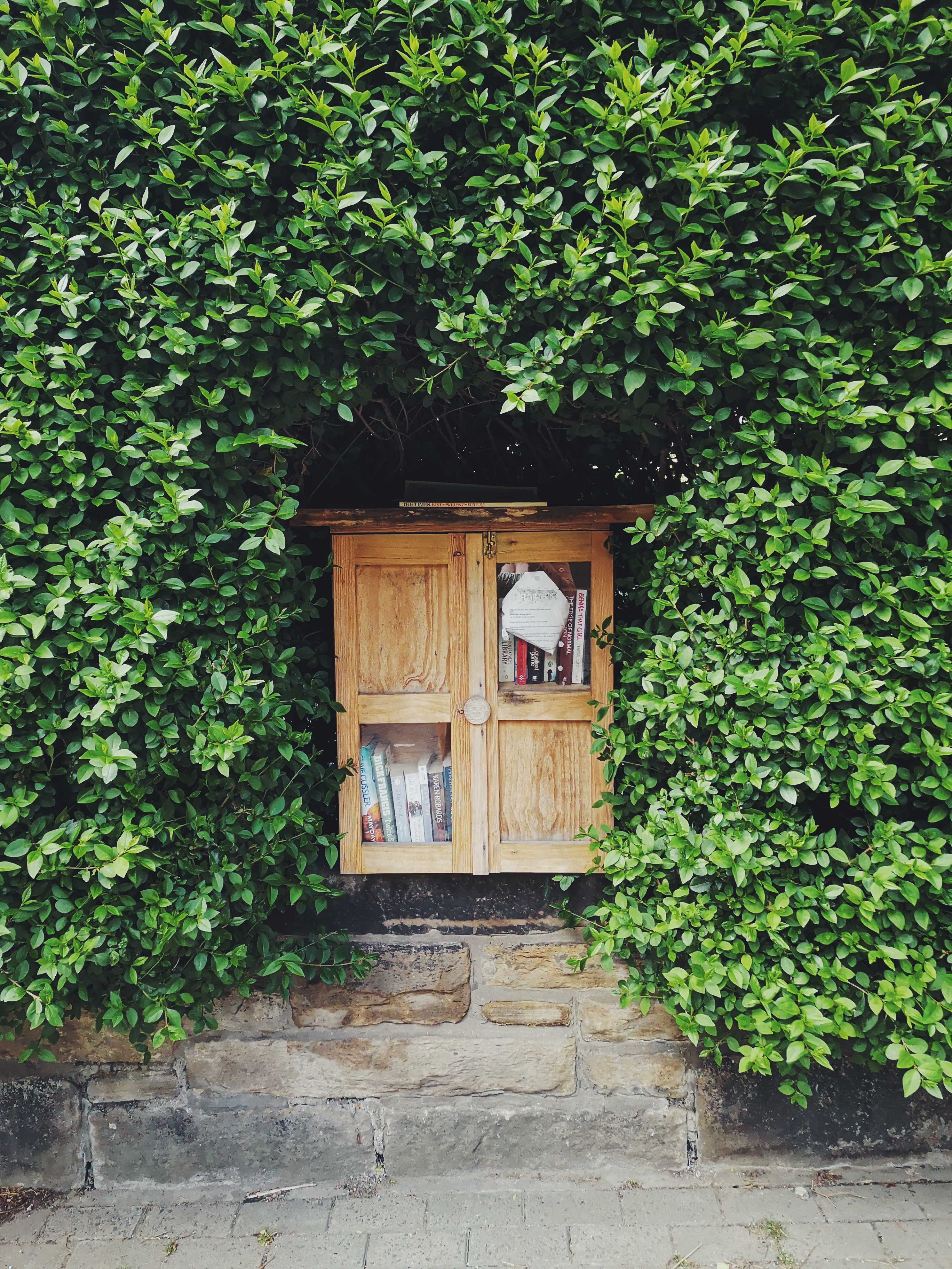A small cabinet filled with books is nestled inside a hedge