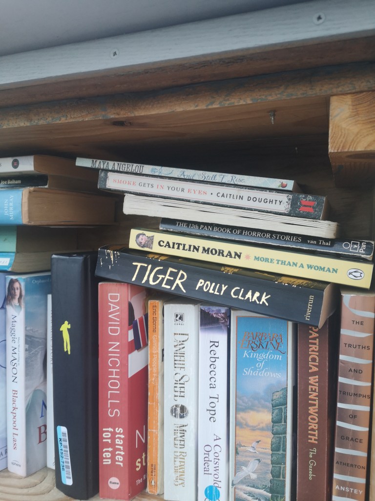 A stack of books lies on top of a row of books