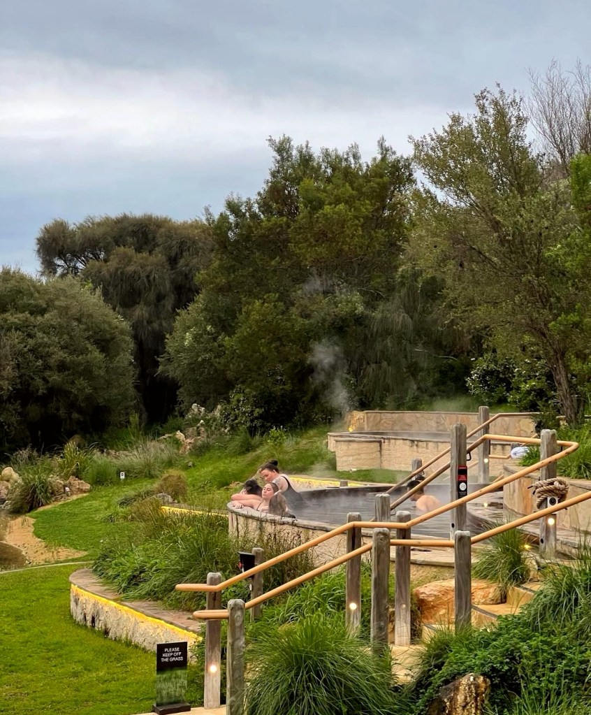 more steamy pools in amongst more trees