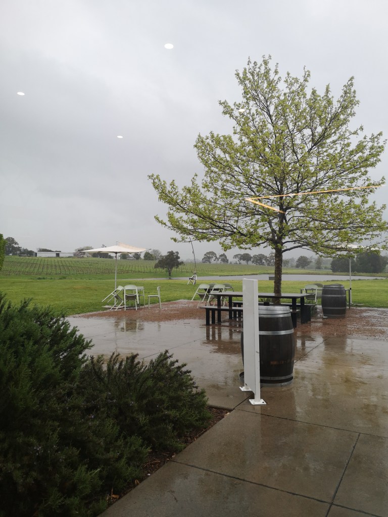 Looking out a window over a very rainy vineyard