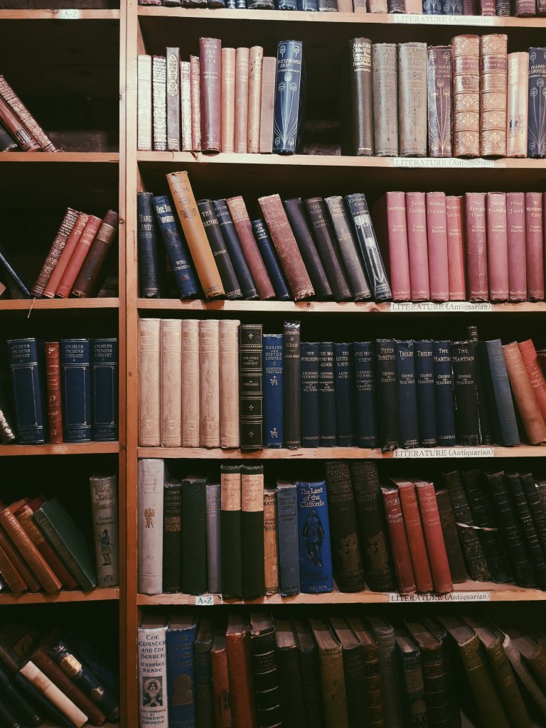 A dark shelf full of old books