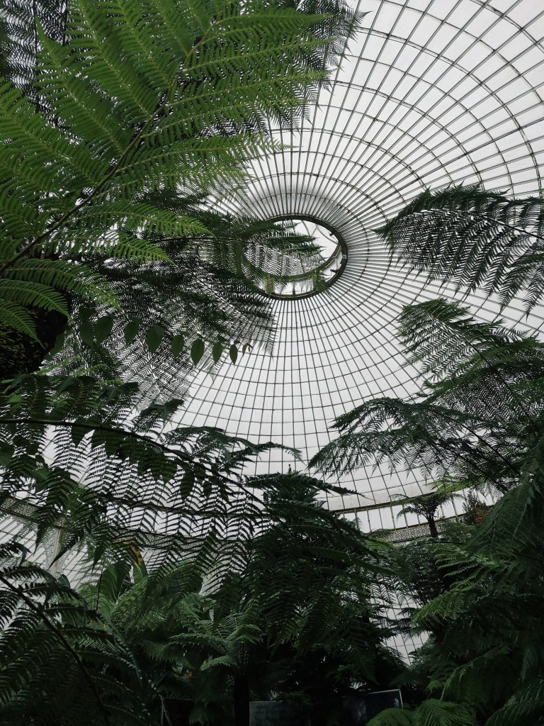 The glass roof of a big greenhouse framed by tall palm leafs