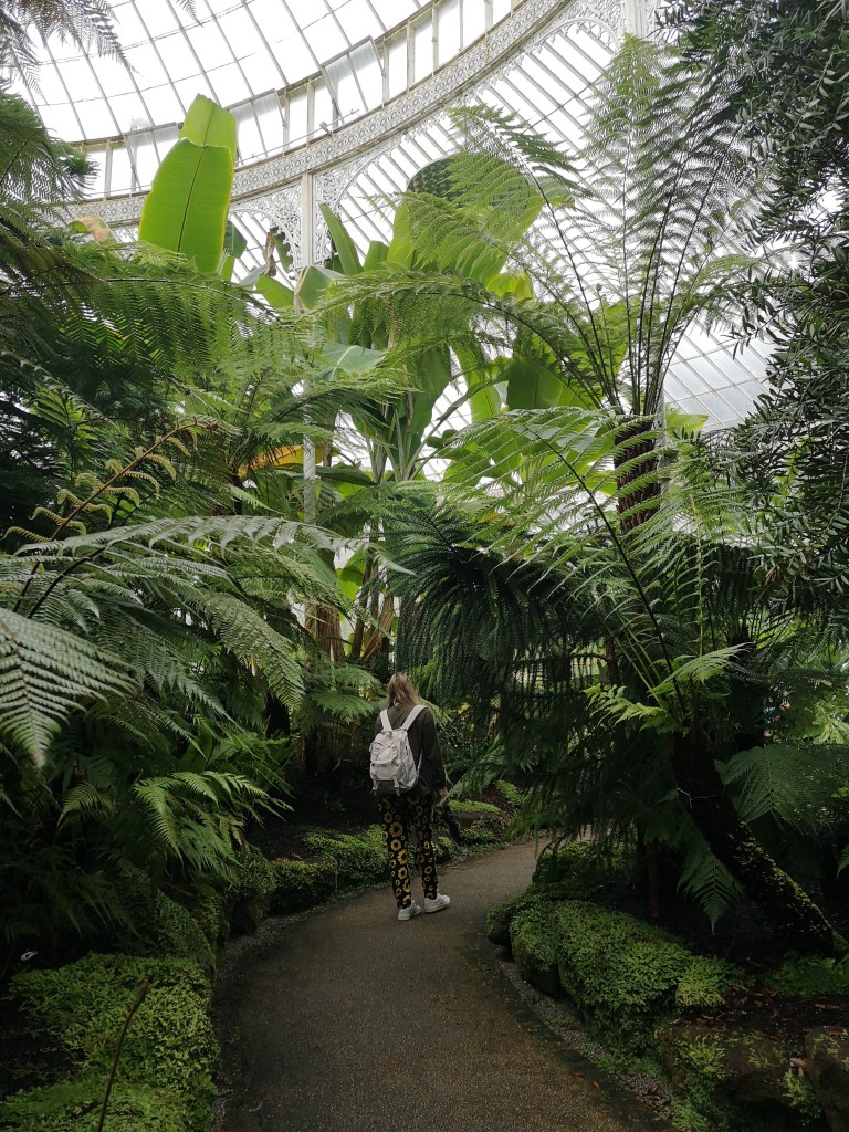 A girl walks through a path lined with tall palm trees