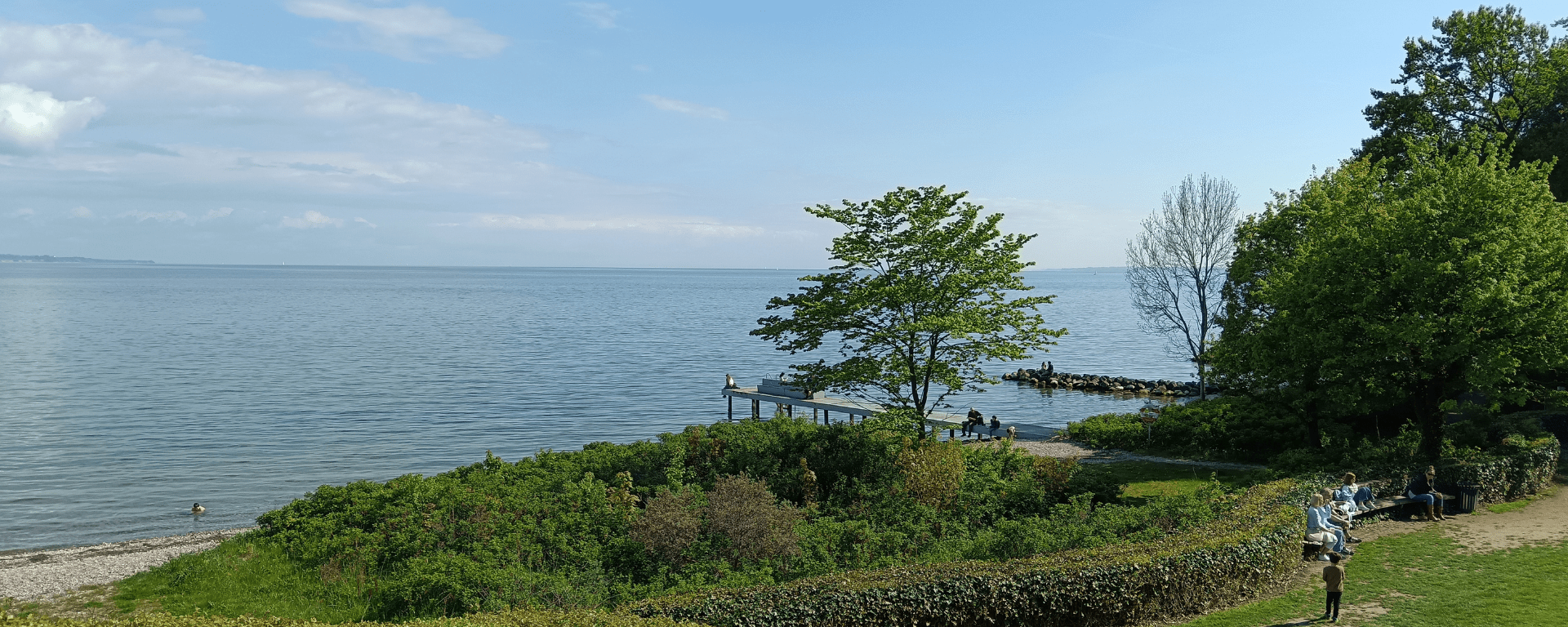 Trees and a pier beside the sea