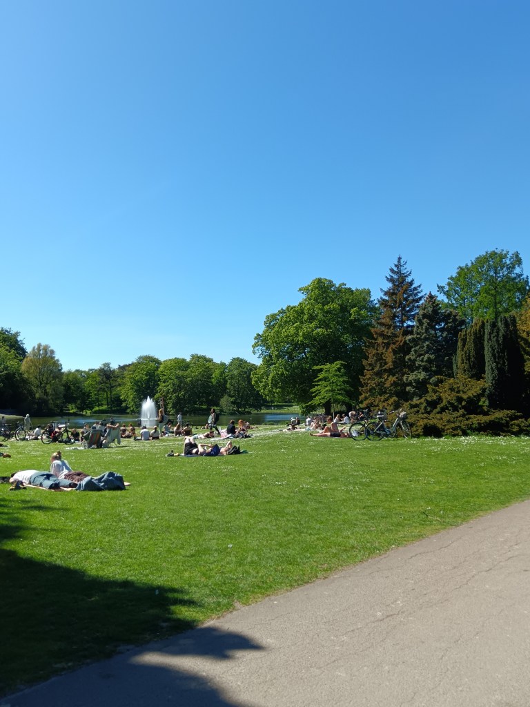 People sit on the grass sunbathing in the park