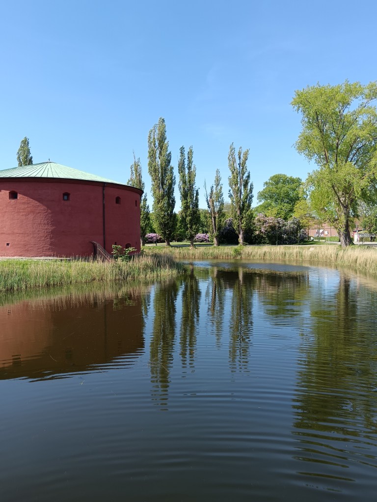 Trees reflected in a moat