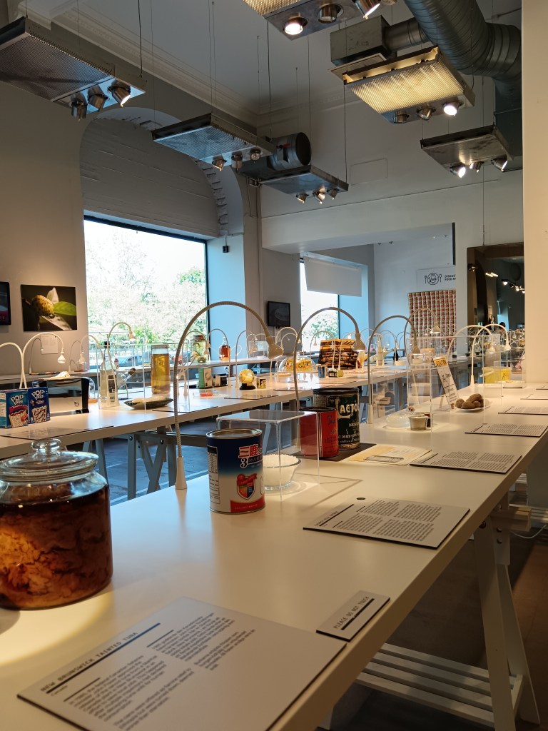 Products lined up in the Disgusting Food Museum