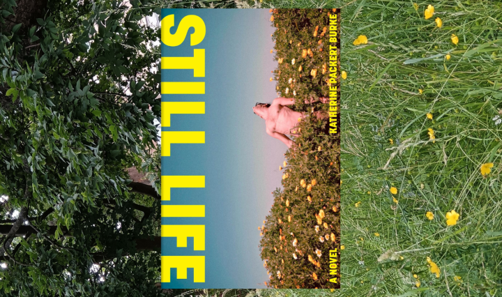 Still Life book cover shows a person standing topless in a field looking at the sky
