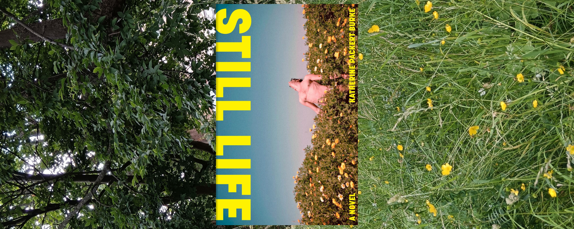 Still Life book cover shows a person standing topless in a field looking at the sky