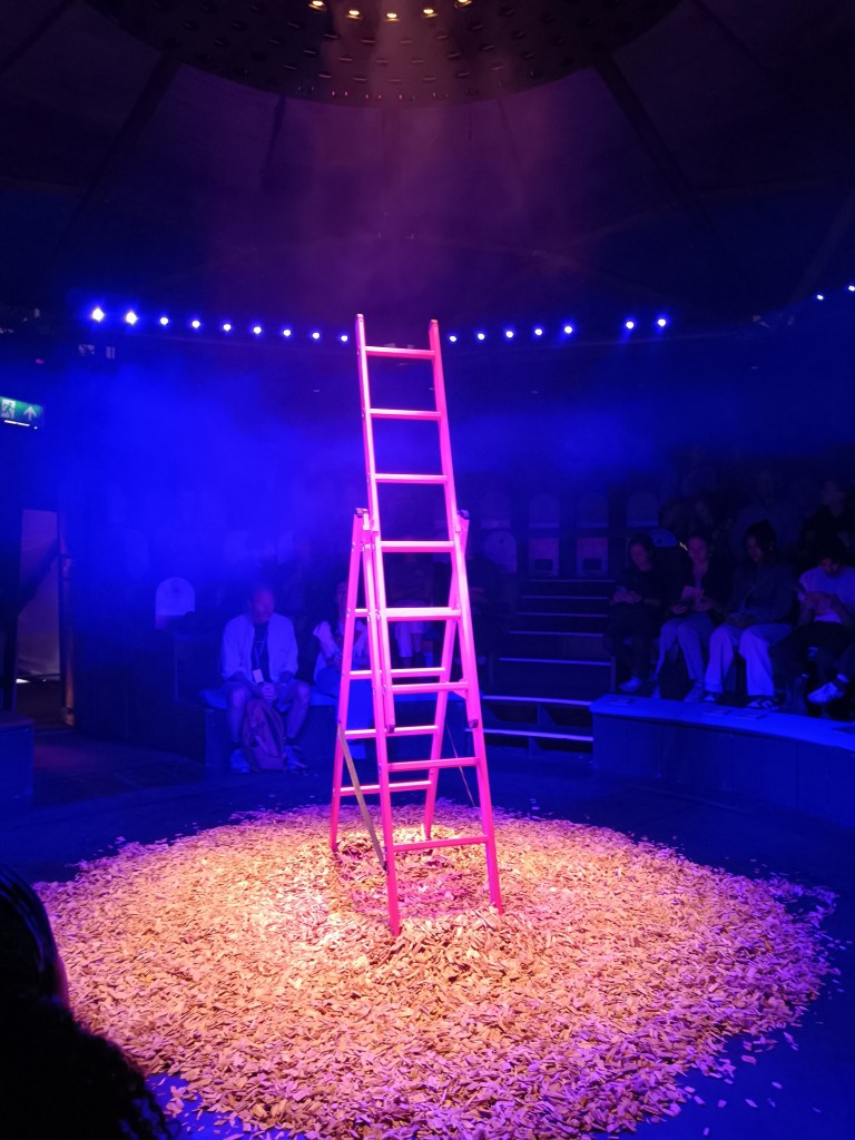 A pink ladder in the middle of a round wood-chipped stage