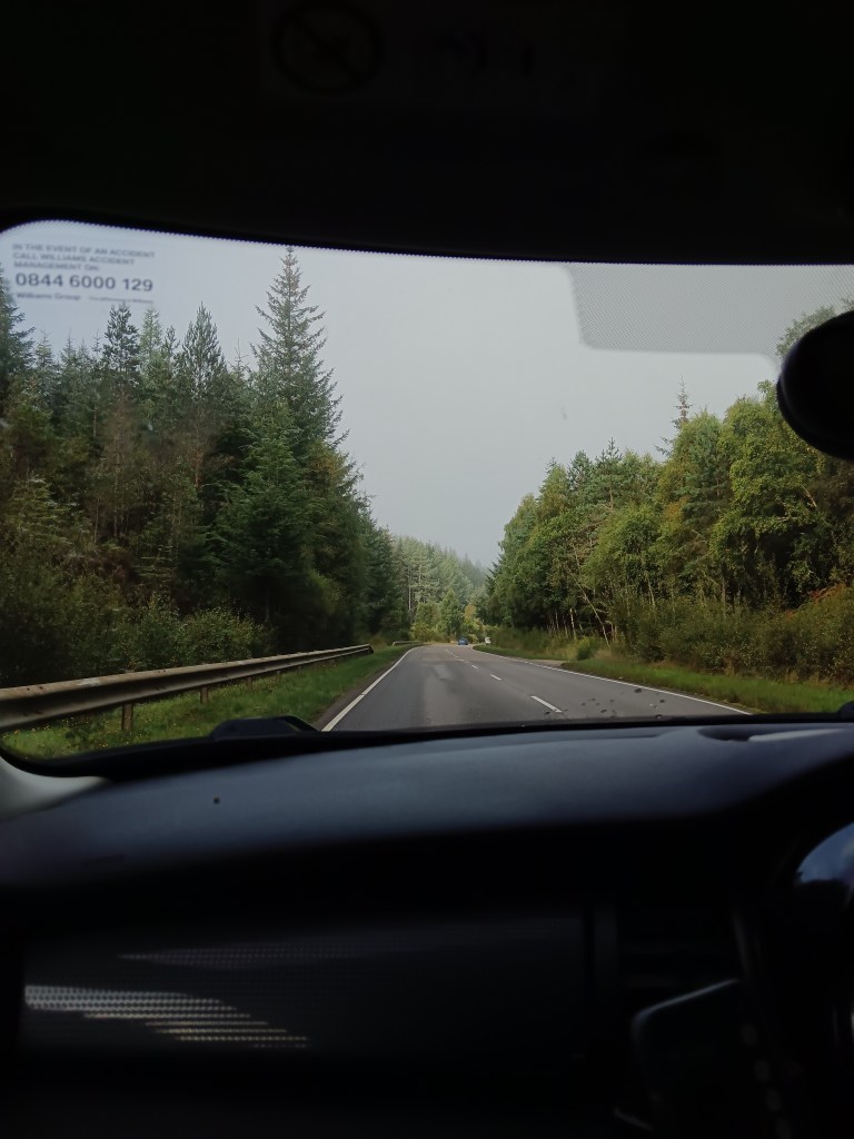 Trees line the road ahead of the windshield