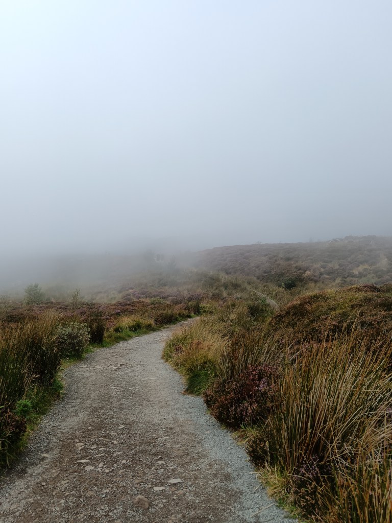 A path disappears into fog