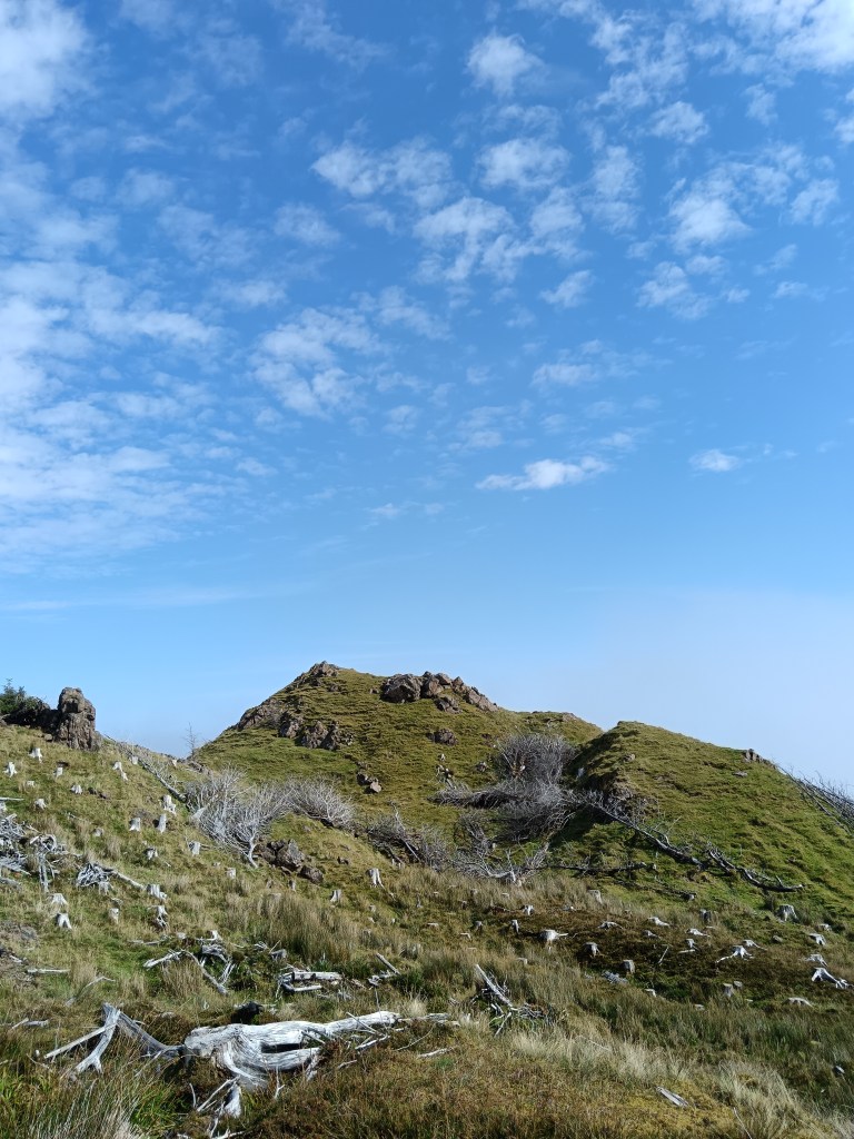 A bit of the grassy mountain against blue sky