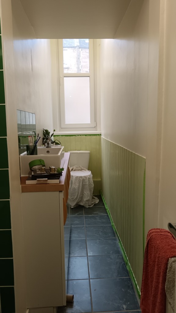 My bathroom with the wood cladding painted