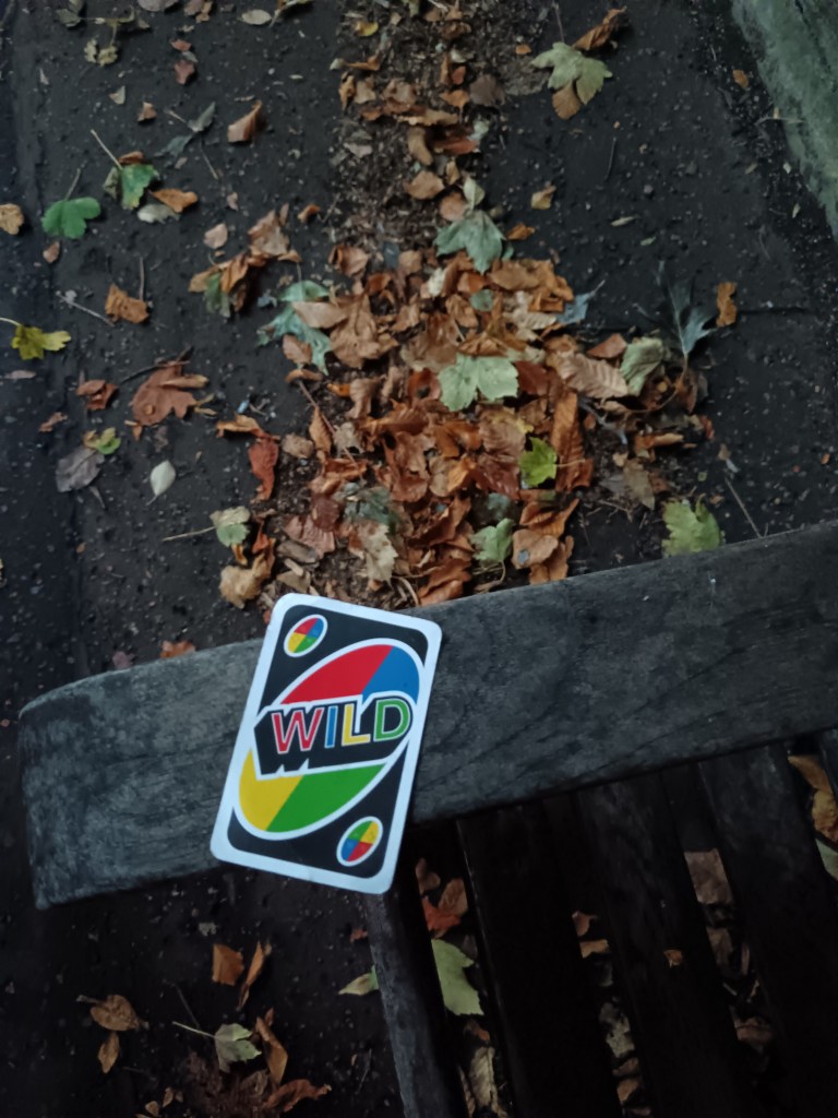 An uno wild card on a bench