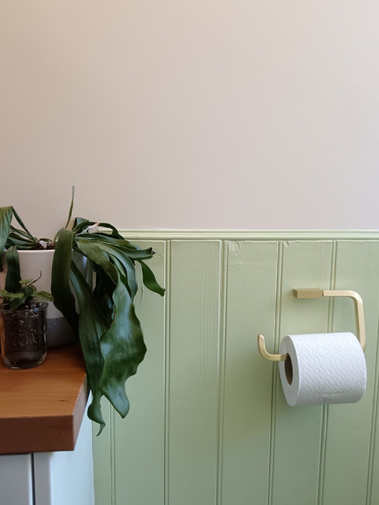 Pale green wood panelling, a toilet roll holder and my fern plant