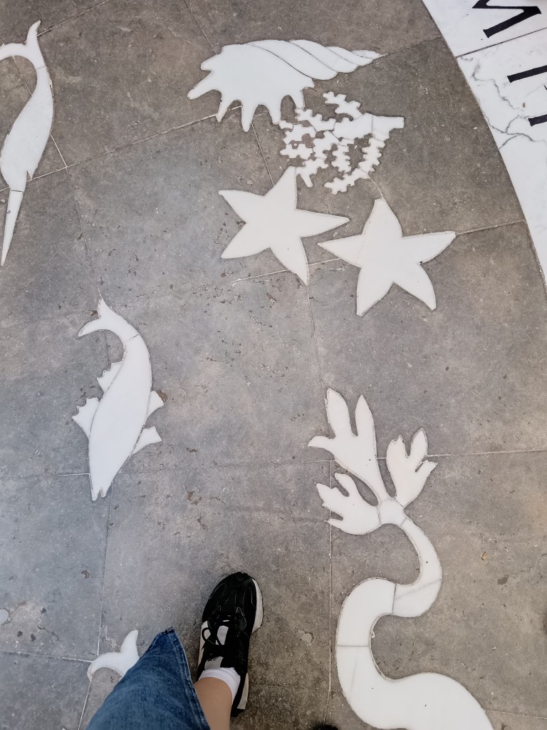 Fish and coral tiled on the ground