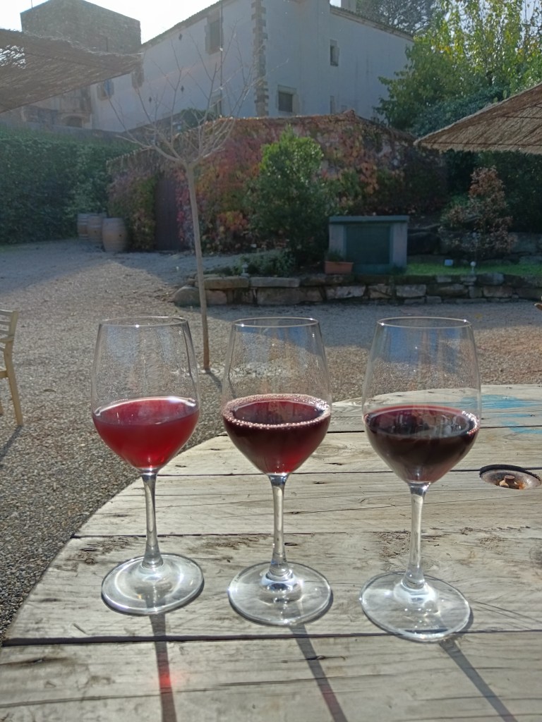 Different shades of red wine shine in the sun