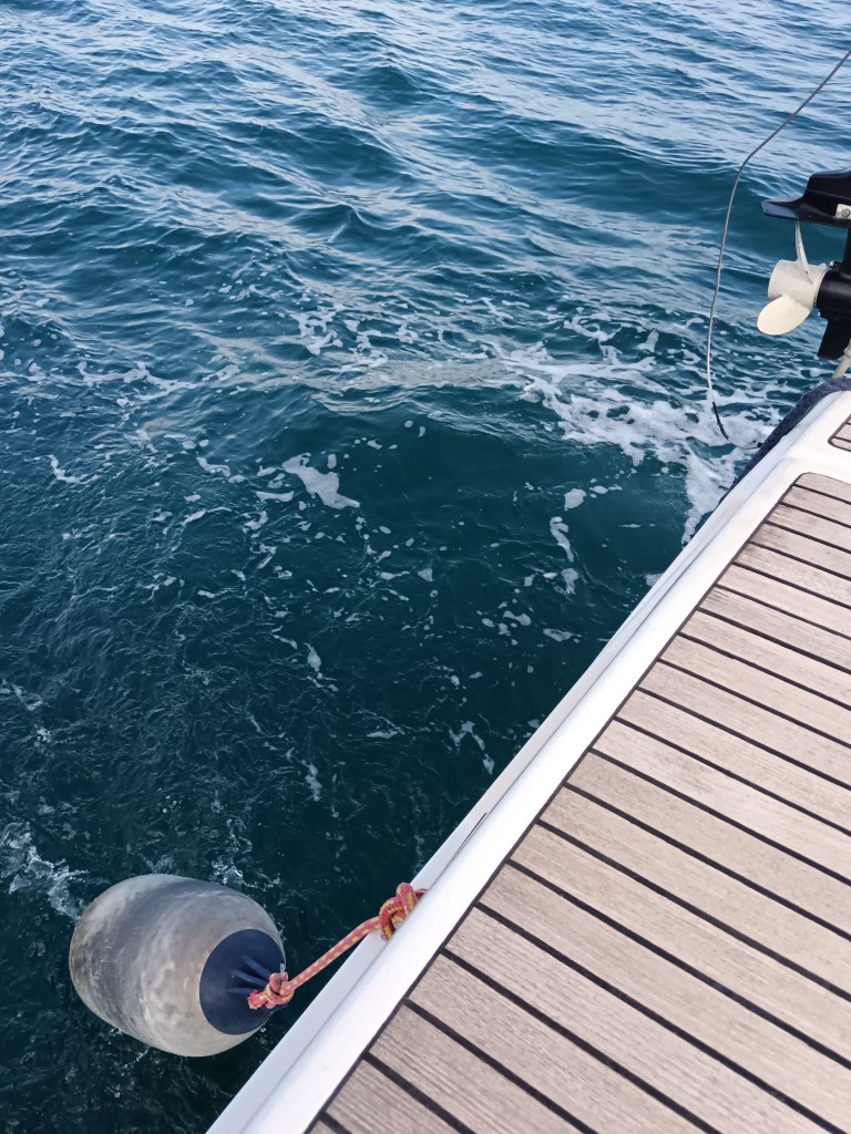 The water shines off the back of the boat