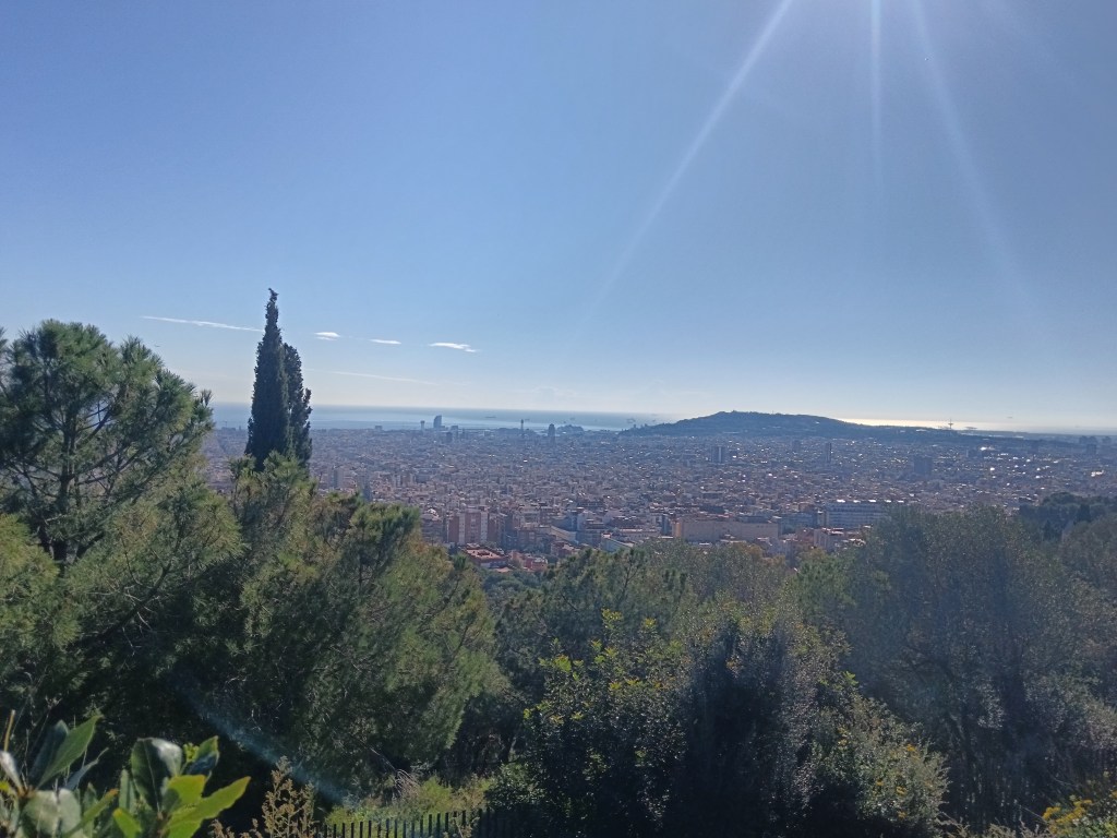 A view of the whole city