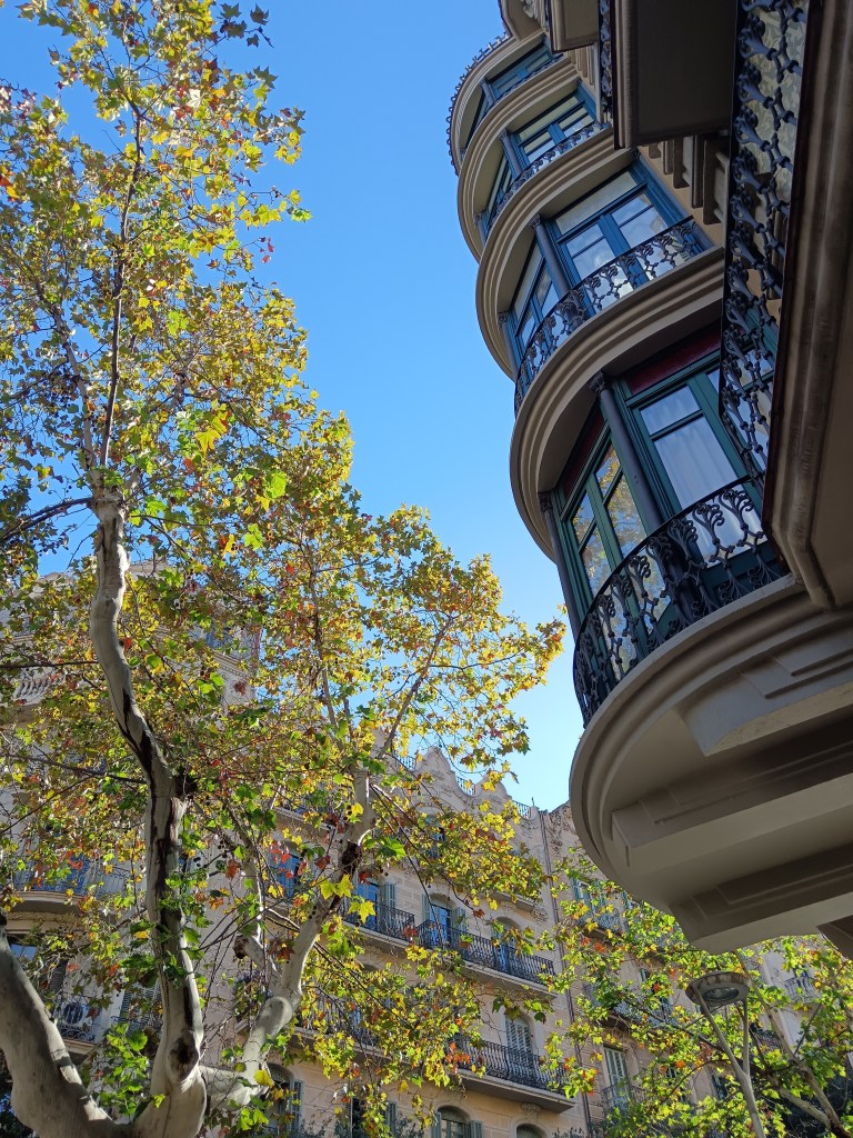 A balcony sticks out beside a tree