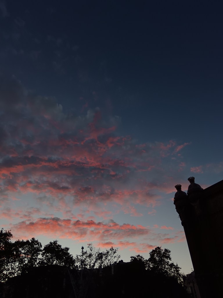 The clouds shine pink in the sunset