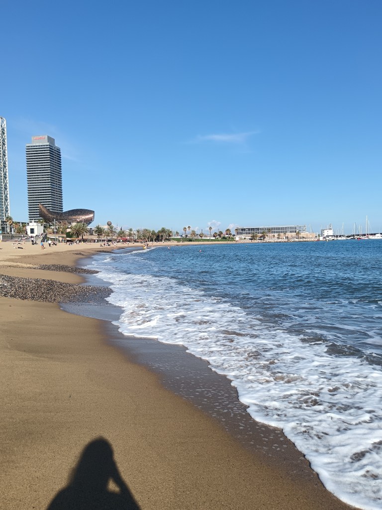 The waves lap on the beach