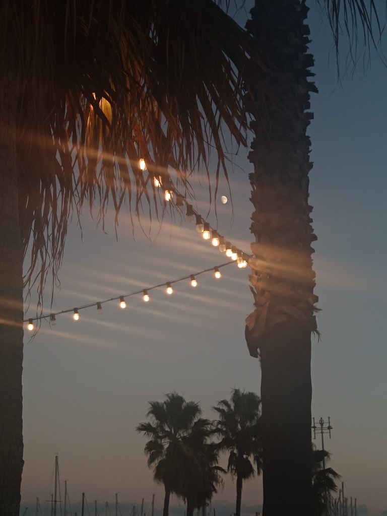 Silhouetted palm trees with lights and the moon