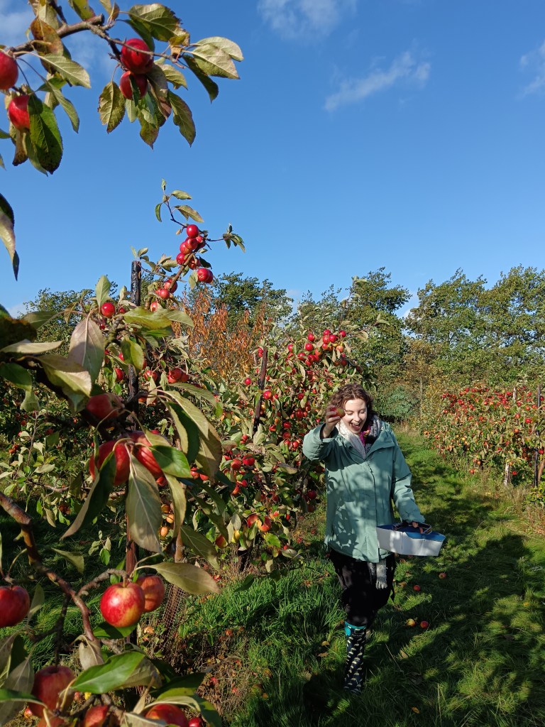 Ejay shows me an apple they just picked