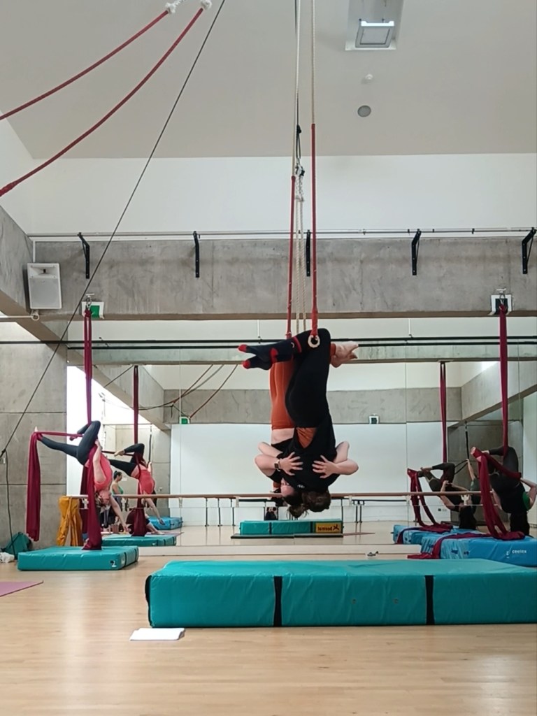 Pairs trapeze we hug hanging from our knees