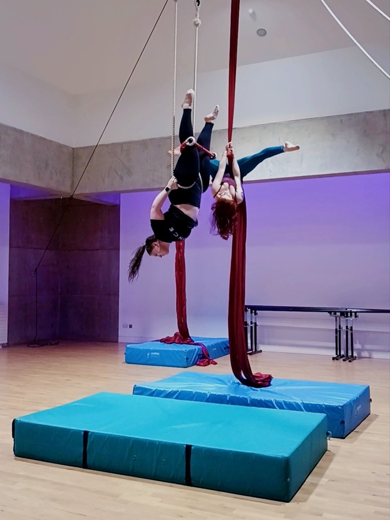 Tangled in trapeze I hang upside down