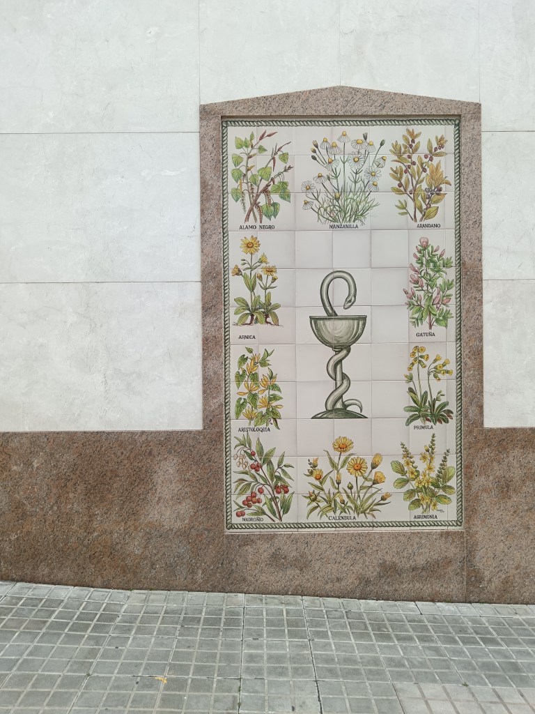 Tiles showing medicinal flowers 