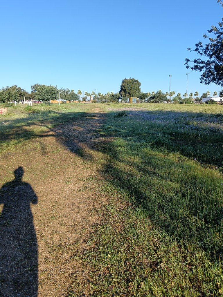 My shadow running through a field