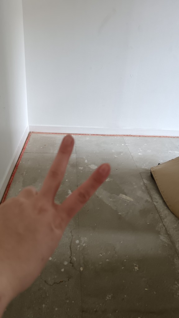 I throw a peace sign over my mid-DIY floor