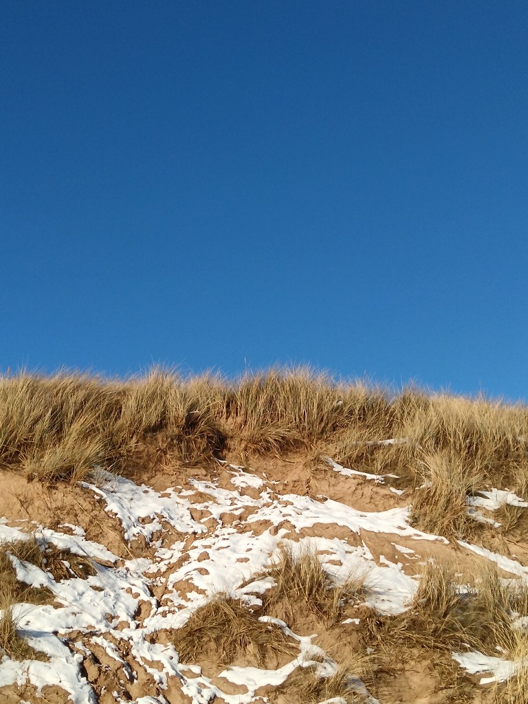 Snowy sand dunes against a blue sky