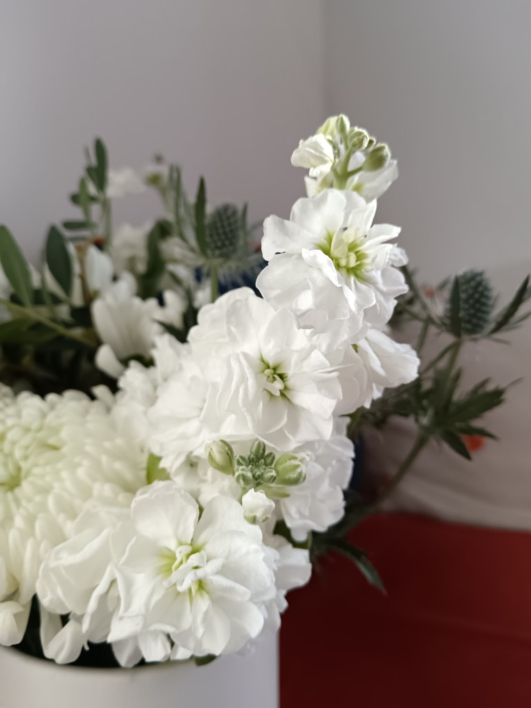 Fluttery white petals of a stock flower