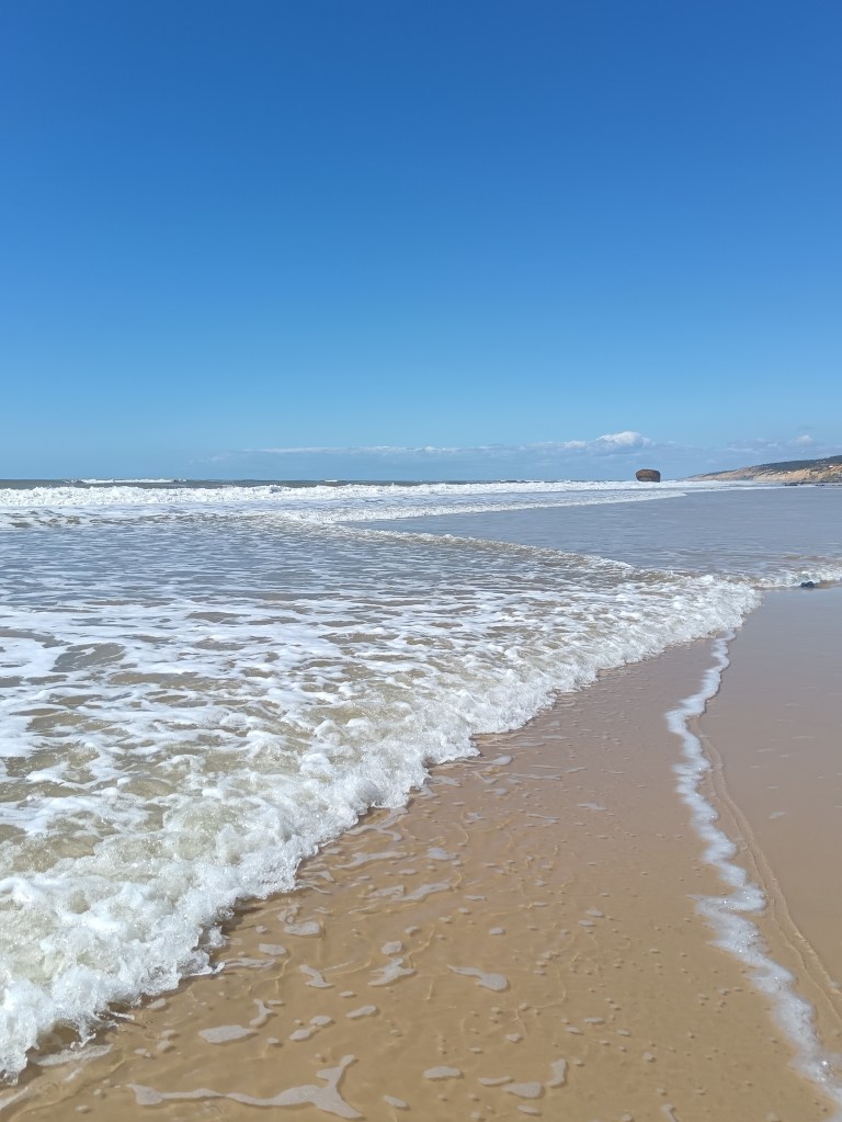 A wave crawls in on the beach