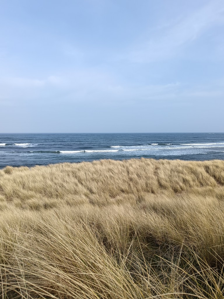 Sand dunes roll in front of the waves