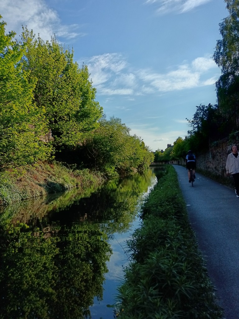 Trees shine in the sun and reflect on the canal