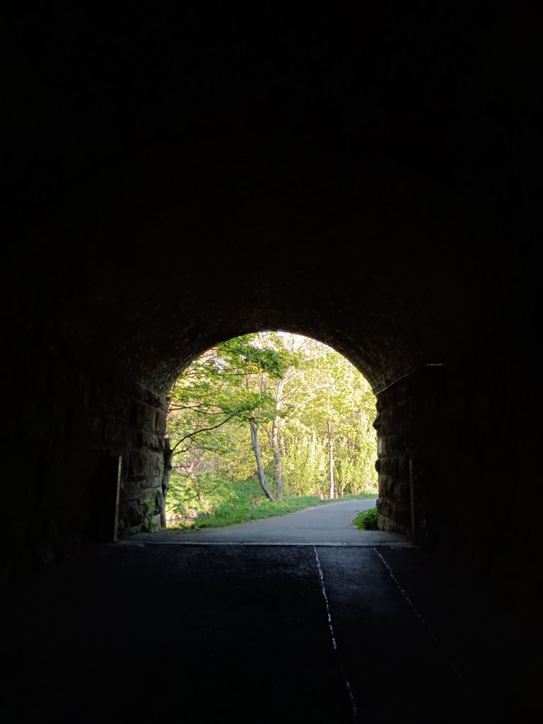 Trees shine from the end of a tunnel