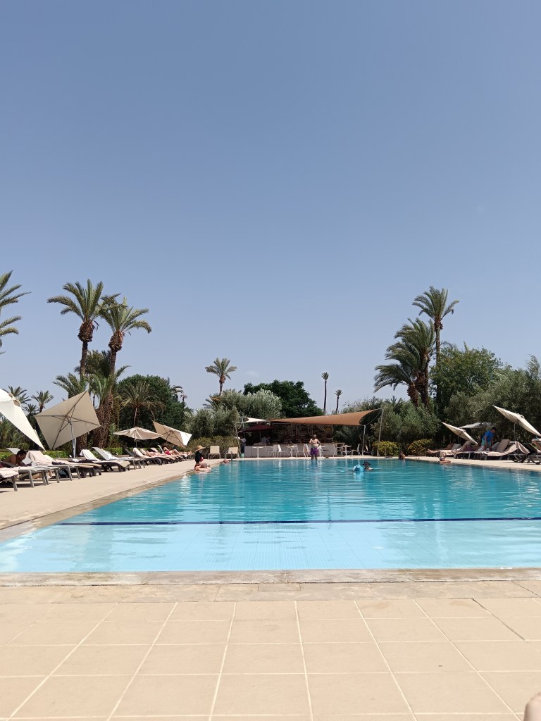 A beautiful blue pool under palm trees