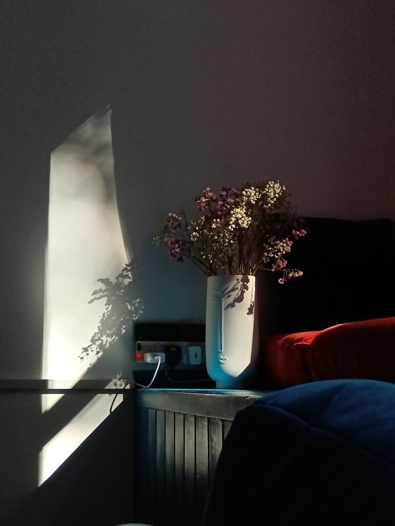 My vase of flowers caught in a suntrap