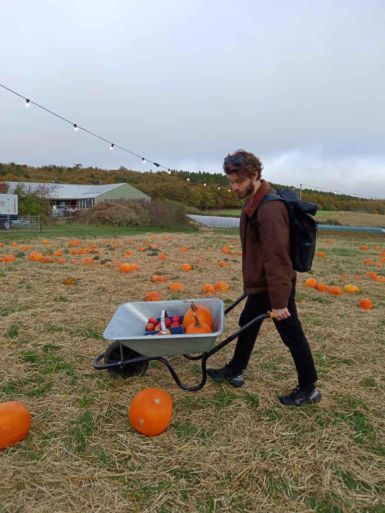 Kit pushes a wheelbarrow full of pumpkin and apples