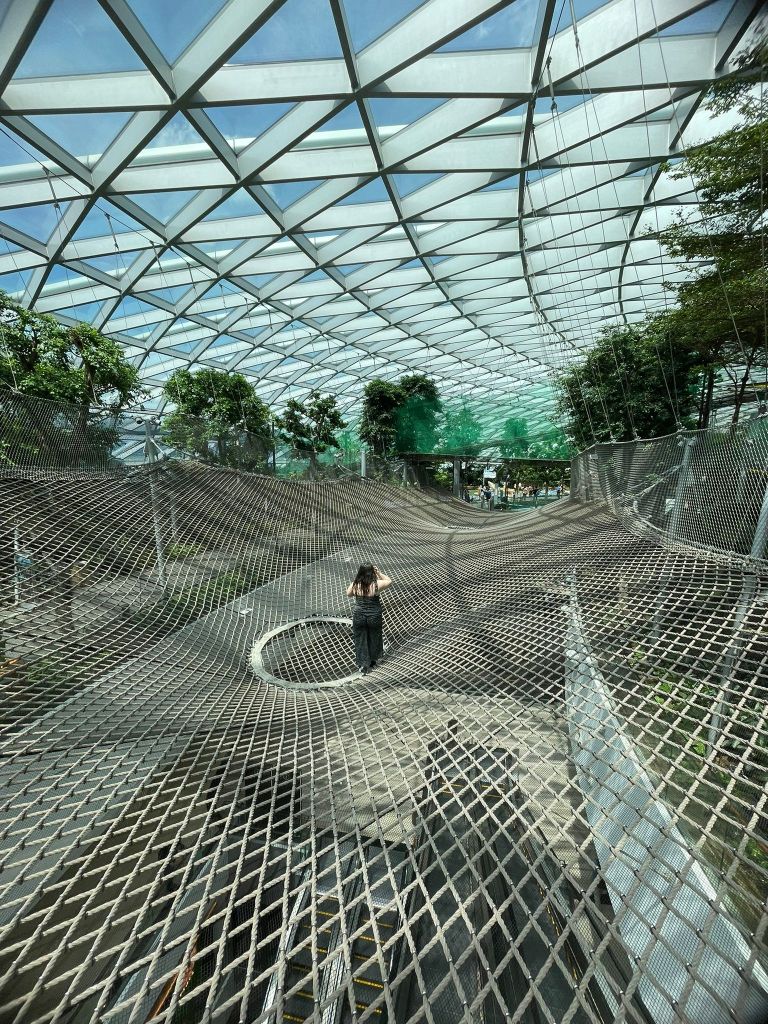 I stand on a large walking net platform