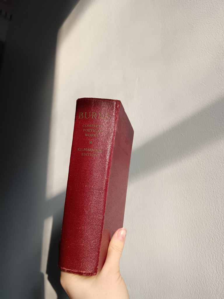I hold a big old red leather book