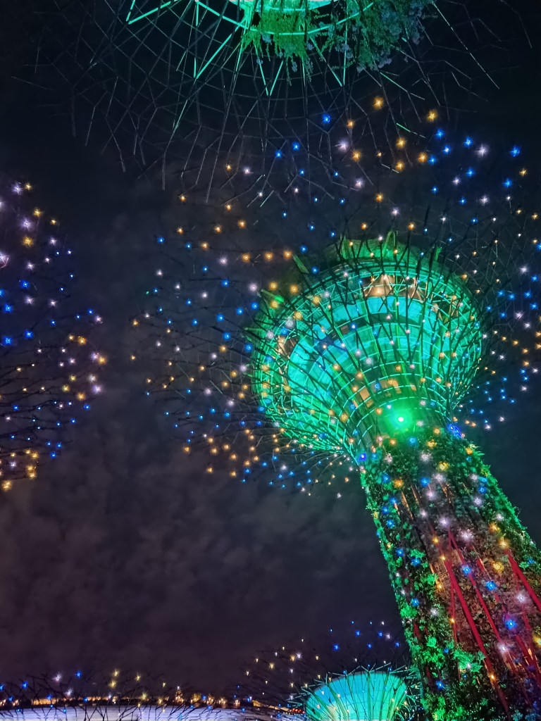 Colourful lights illuminate the supertrees