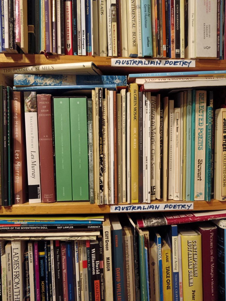 A packed shelf in a bookstore