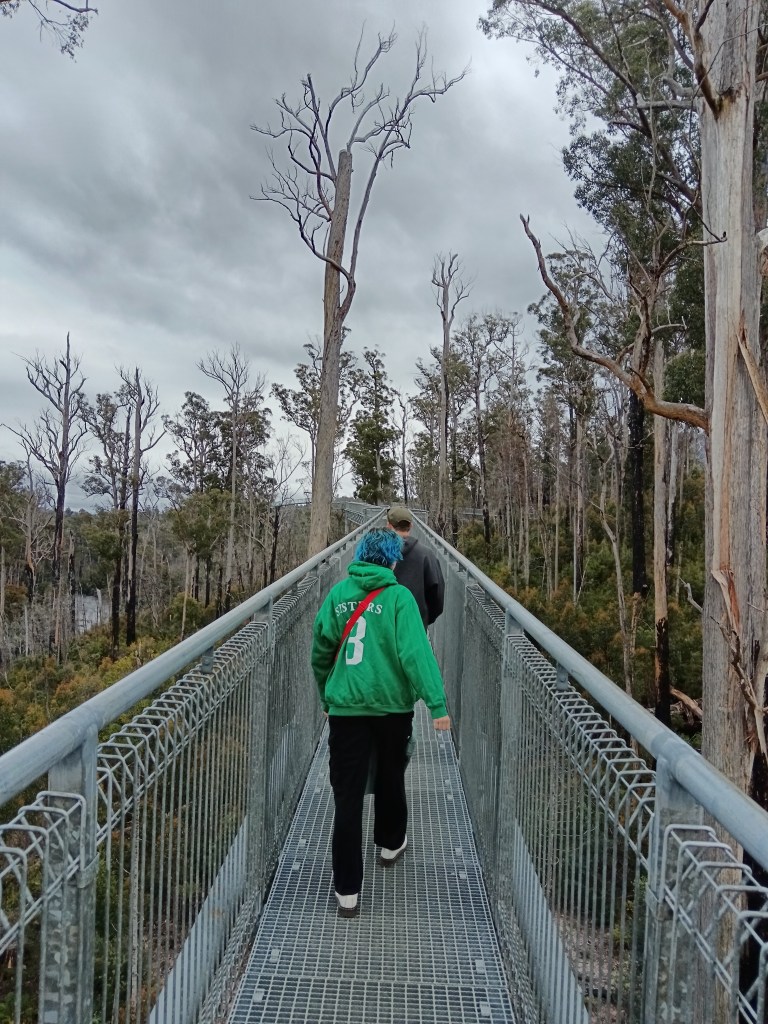 The team walk along the tree path